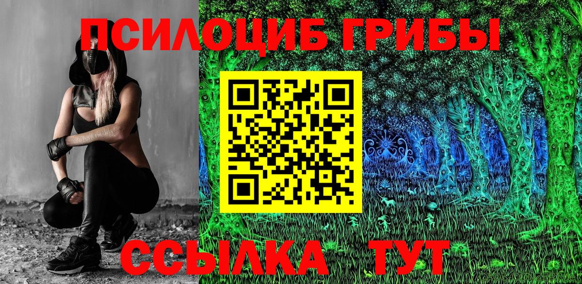 Псилоцибиновые грибы Magic Shrooms Великий Новгород